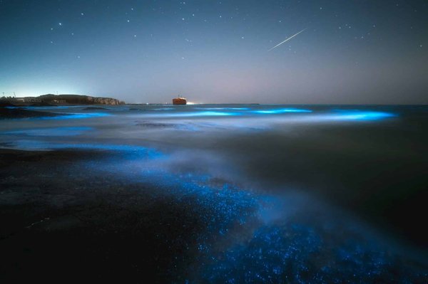 Quels sont les meilleurs itinéraires de croisière pour observer le phénomène de bioluminescence dans les eaux tropicales?